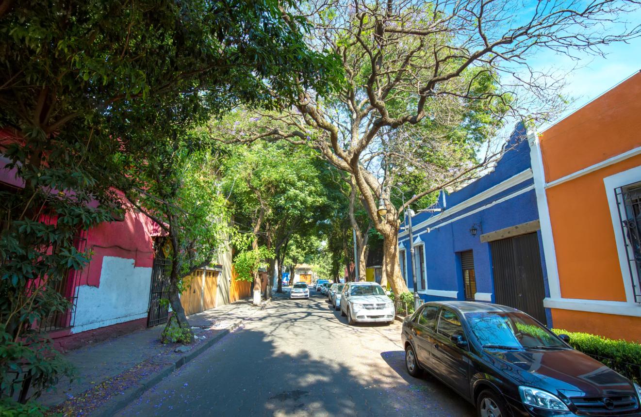 COYOACAN
